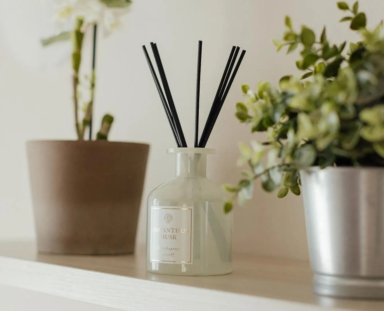 Appartamento Acacia Imola Apartmán